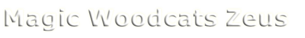 Magic Woodcats Zeus