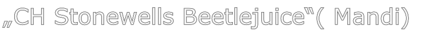 „CH Stonewells Beetlejuice“( Mandi)